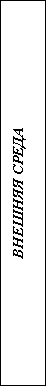 Подпись: ВНЕШНЯЯ СРЕДА
