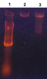 ��������: C:\Users\�����\Desktop\4.tif