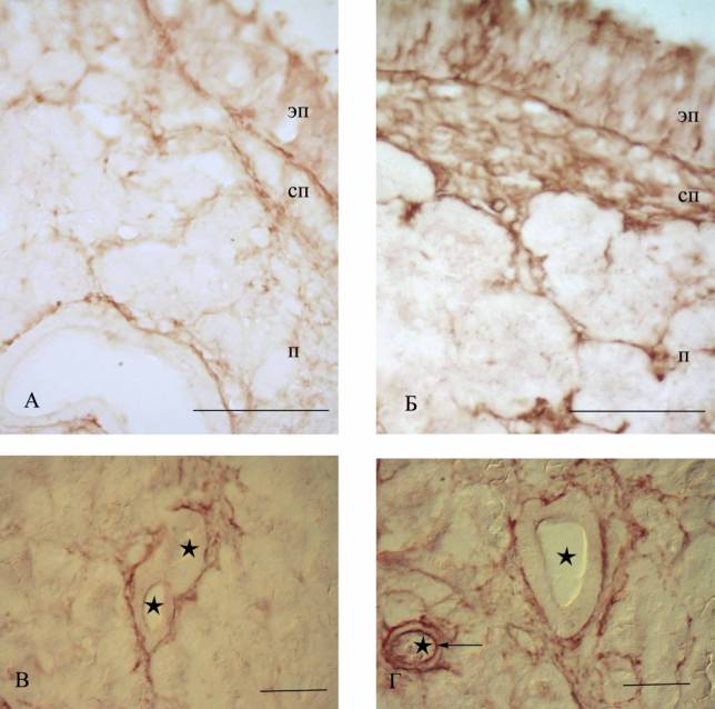 D:\������\�������\MMP-���� copy.jpg