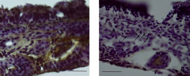 D:\������\�������\����-���� copy.jpg