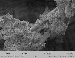 ��������: 3180_#2_x1000