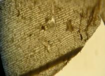 C:\Users\��������\Desktop\������� 2013\P1330323.JPG