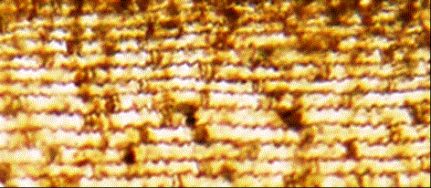 ����� �������