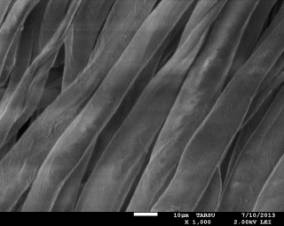 C:\Users\�������\Desktop\������ ���� ������ ������\���������� �����������.����., �� ������ 2013\��������������� ����� 2013\����� ��� ��������������\��� � 1000\19-04 ��������.jpg