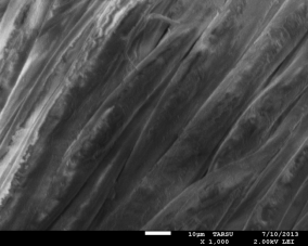 C:\Users\�������\Desktop\������ ���� ������ ������\���������� �����������.����., �� ������ 2013\��������������� ����� 2013\����� ��� ��������������\��� � 1000\18-04.bmp