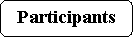 ����������� �������������: Participants