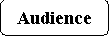 ����������� �������������: Audience