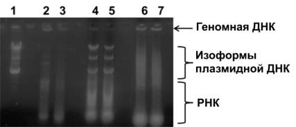 G:\������\�������\������� 5.1-1.tif