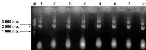 G:\������\�������\������� 5.2.tiff