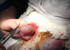 D:\����\����� ���� ��������\���� 05.02.13\DSCF0634.JPG