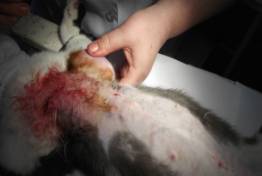 D:\����\����� ���� ��������\���� 05.02.13\DSCF0653.JPG