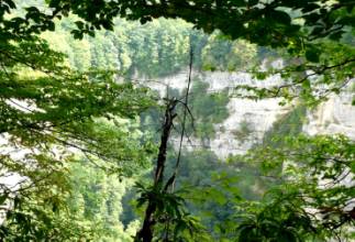 C:\Users\user\Desktop\P1080121 ����. ����� ����� ������ ����. ������ ��. ���� �������� �.�..JPG