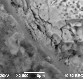 D:\���������\������������\�����\��� � 2012\������ 2015\������ 2015.09\������ 2015.09\2015\11��� ��������-100-�����-1 ���� ��\rudn-11 - 18.bmp