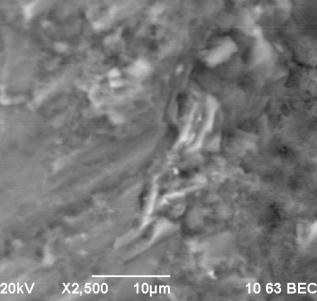 D:\���������\������������\�����\��� � 2012\������ 2015\������ 2015.09\������ 2015.09\2015\14������������-7�����-������\rudn-14 - 6.bmp