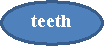: teeth