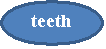 : teeth