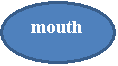 : mouth