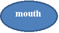 : mouth