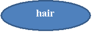 : hair