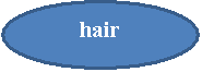 : hair
