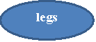: legs