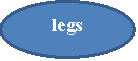 : legs
