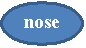 : nose