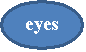 : eyes