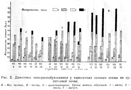 ����������������� � ���� ������� ����� (����� 2)