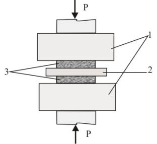 ����� ��������� ����