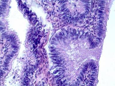 080000004D6574726963730050000000783500000000000000000000000000000000000000000000000000000000000000000020A298004000000020A29800C000000000000000000000000000F88740ECEAEC0000EB00004020E6009CF31200