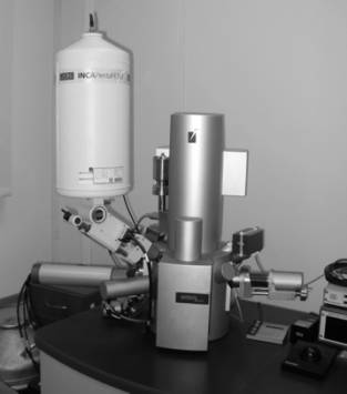 ���� ������ �