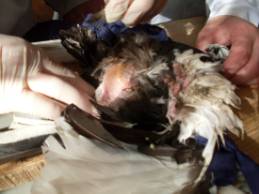 D:\��������� �����\��� ��������\�������\SDC16480.JPG