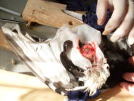 D:\��������� �����\��� ��������\�������\SDC16505.JPG