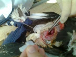 D:\��� ����\�����\������\4 ����\�������\��������� ���������\13102012175.jpg