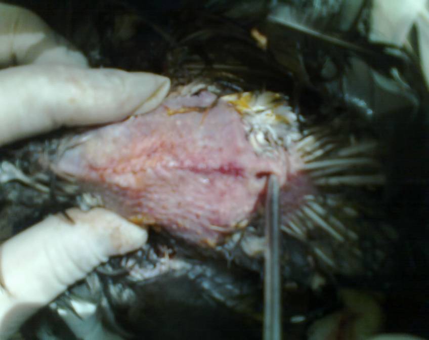 C:\Documents and Settings\�������������\������� ����\����� ���� ��������\��������� 1\13102012199.jpg