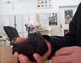 D:\��������� �����\��� ��������\�������\SDC16787.JPG