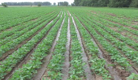 ��������: IMG_0156