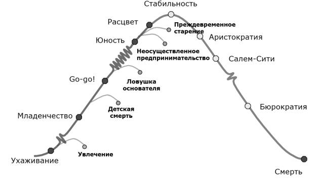 Курсовая Работа По Теме Жизненный Цикл Организации