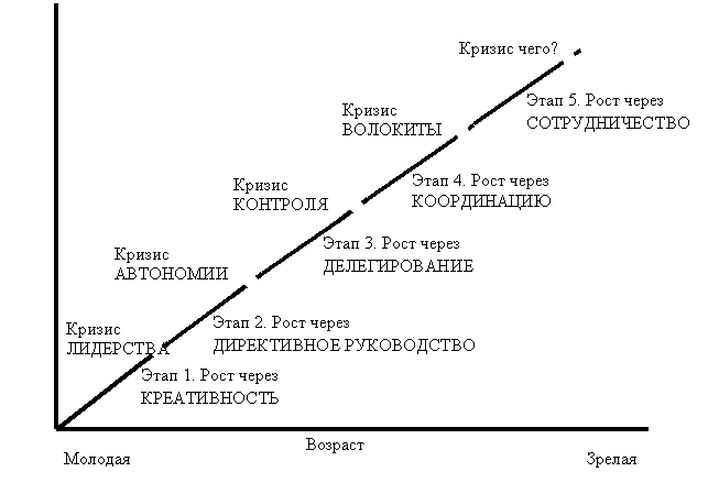 Курсовая работа по теме Модель жизненного цикла организации Л. Грейнера