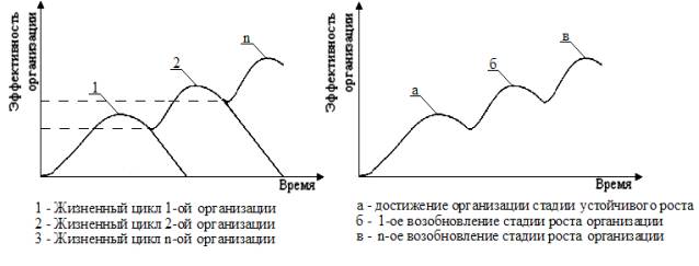 Вариации развития жизненного цикла организации
