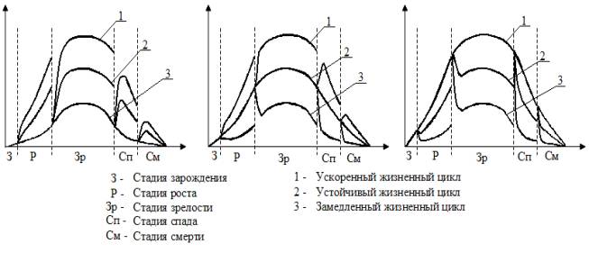 Варианты развития жизненного цикла ВУЗа