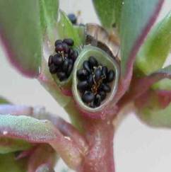 t_5318_2_1320050736_big_rsz