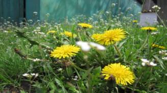 F:\���� ������\IMG_4532.JPG