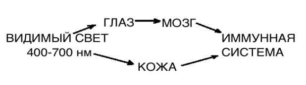 MAC OS:Users:vladislavfilippov:Documents:Untitled.png