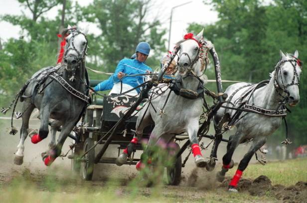 C:\Users\Admin\Documents\thumb_ (7).jpg