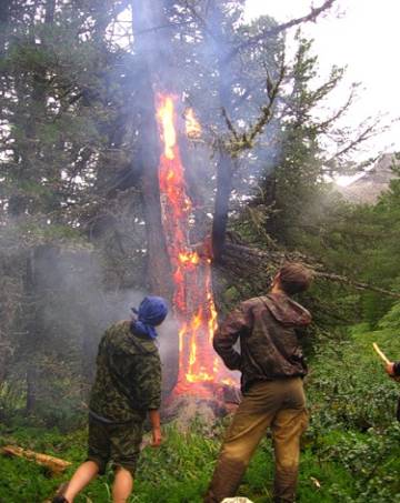 Описание: 3.jpeg