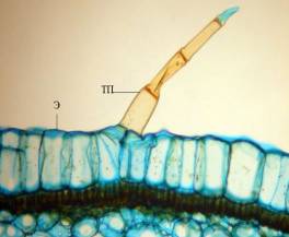 D:\���������\���� ������\d337d7316f6c.jpg