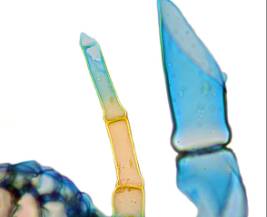 D:\���������\���� ������\2347cadd491a.jpg