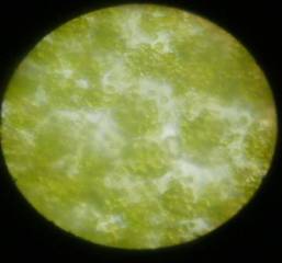 D:\���������\���� ������\14.48..jpg